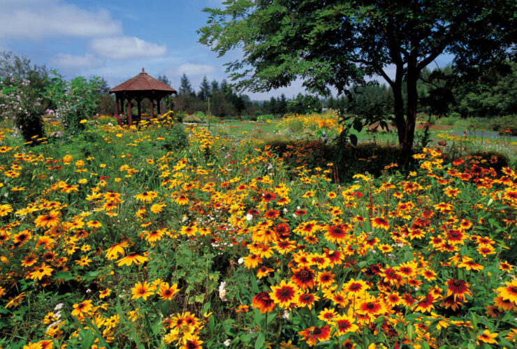 紫竹ガーデン9月