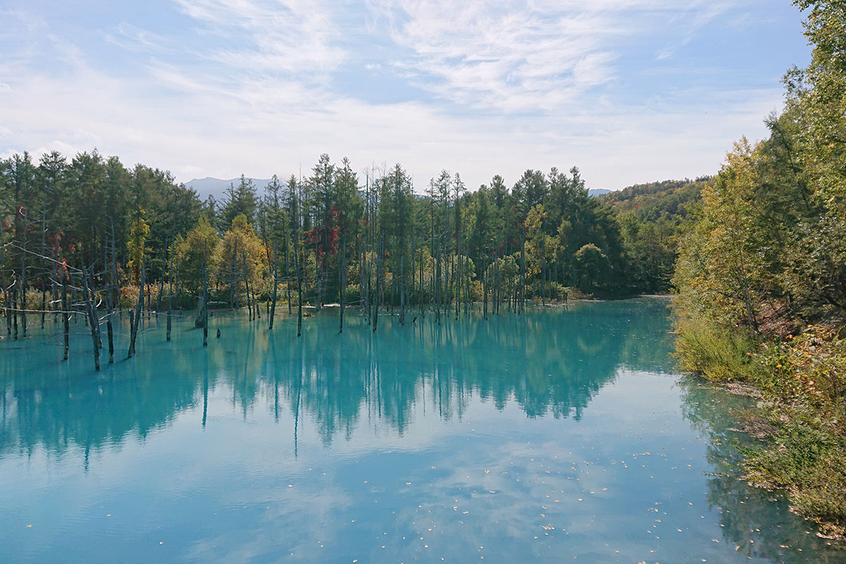 白金青い池