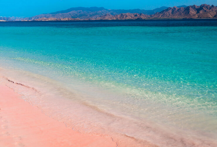 コモド島ピンクビーチ