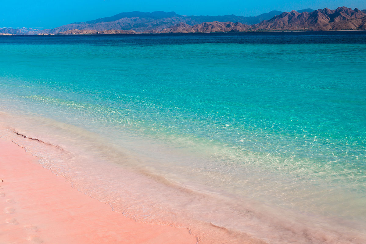 コモド島ピンクビーチ