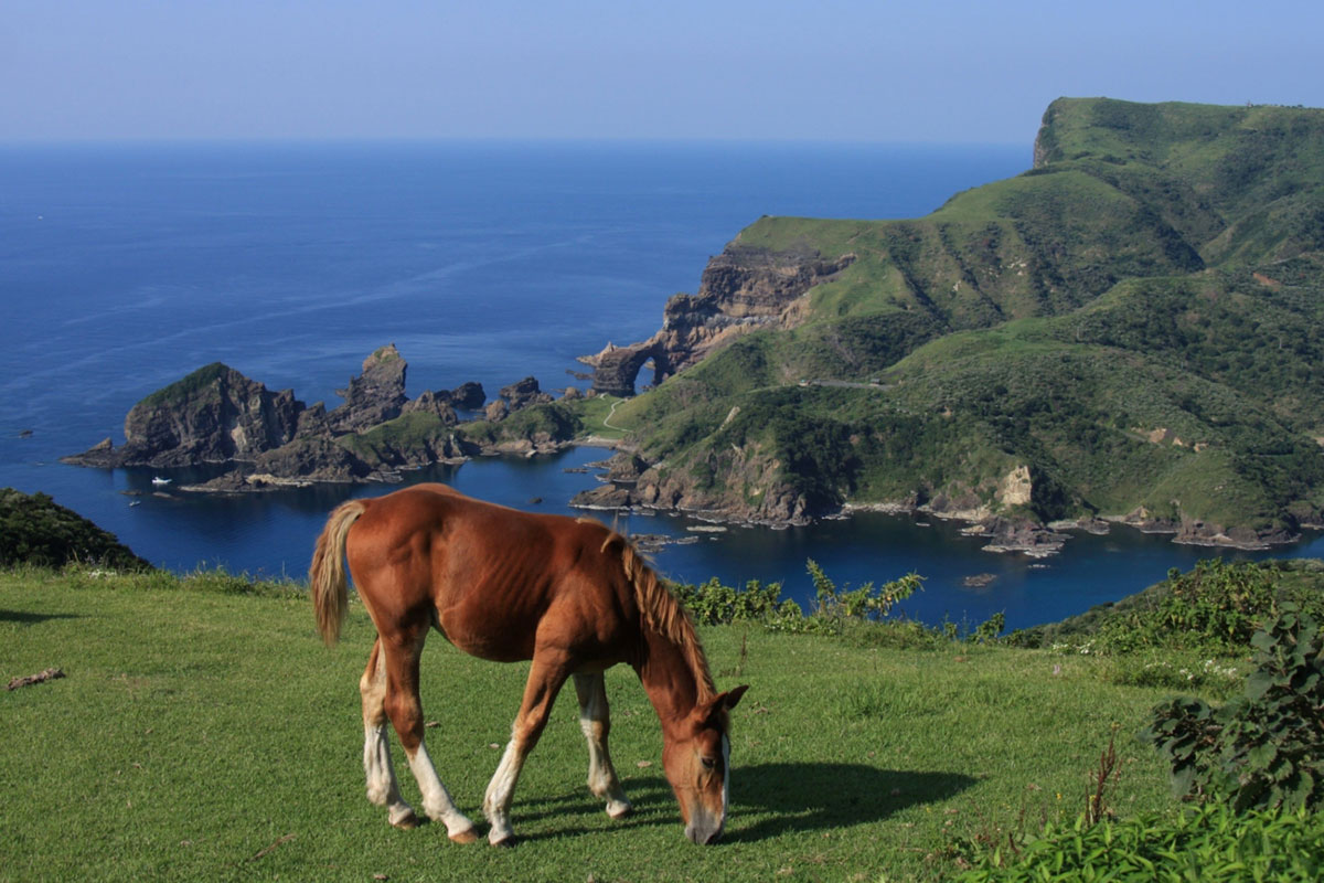 赤尾展望所©（一社）隠岐ジオパーク推進機構