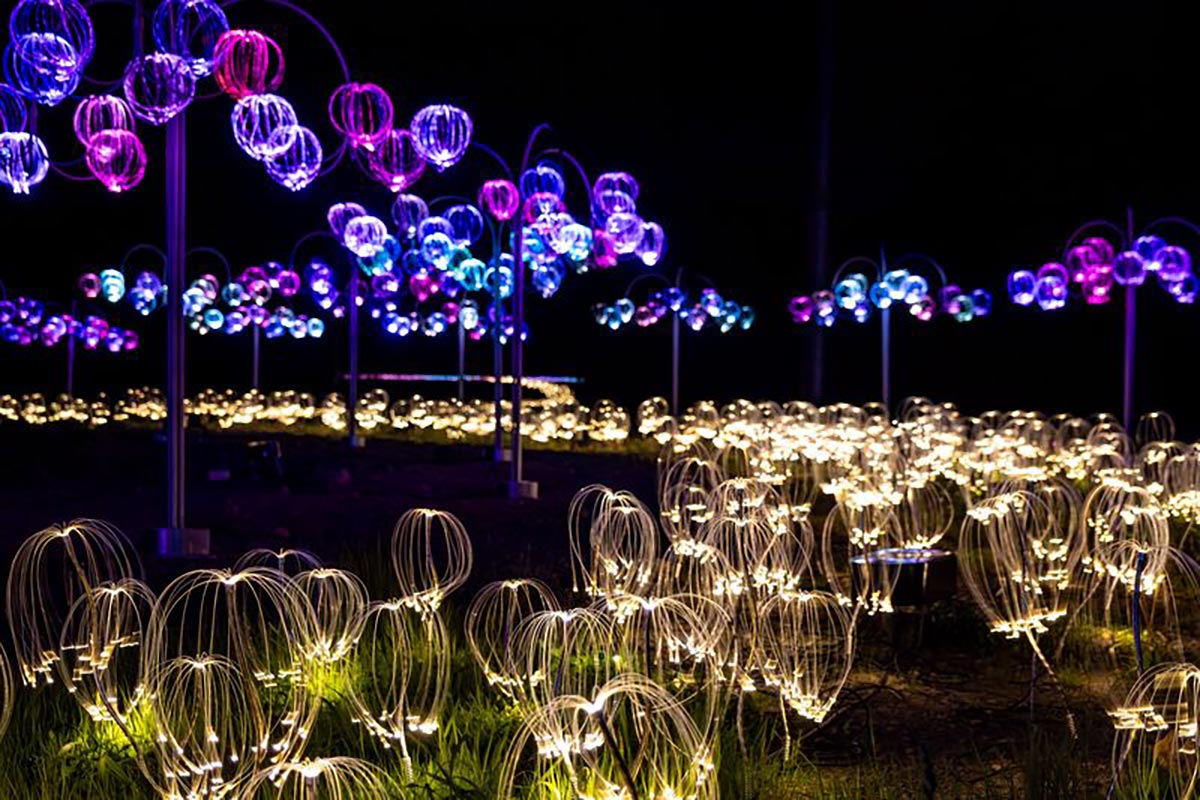 ニセコ　マウンテンライツ