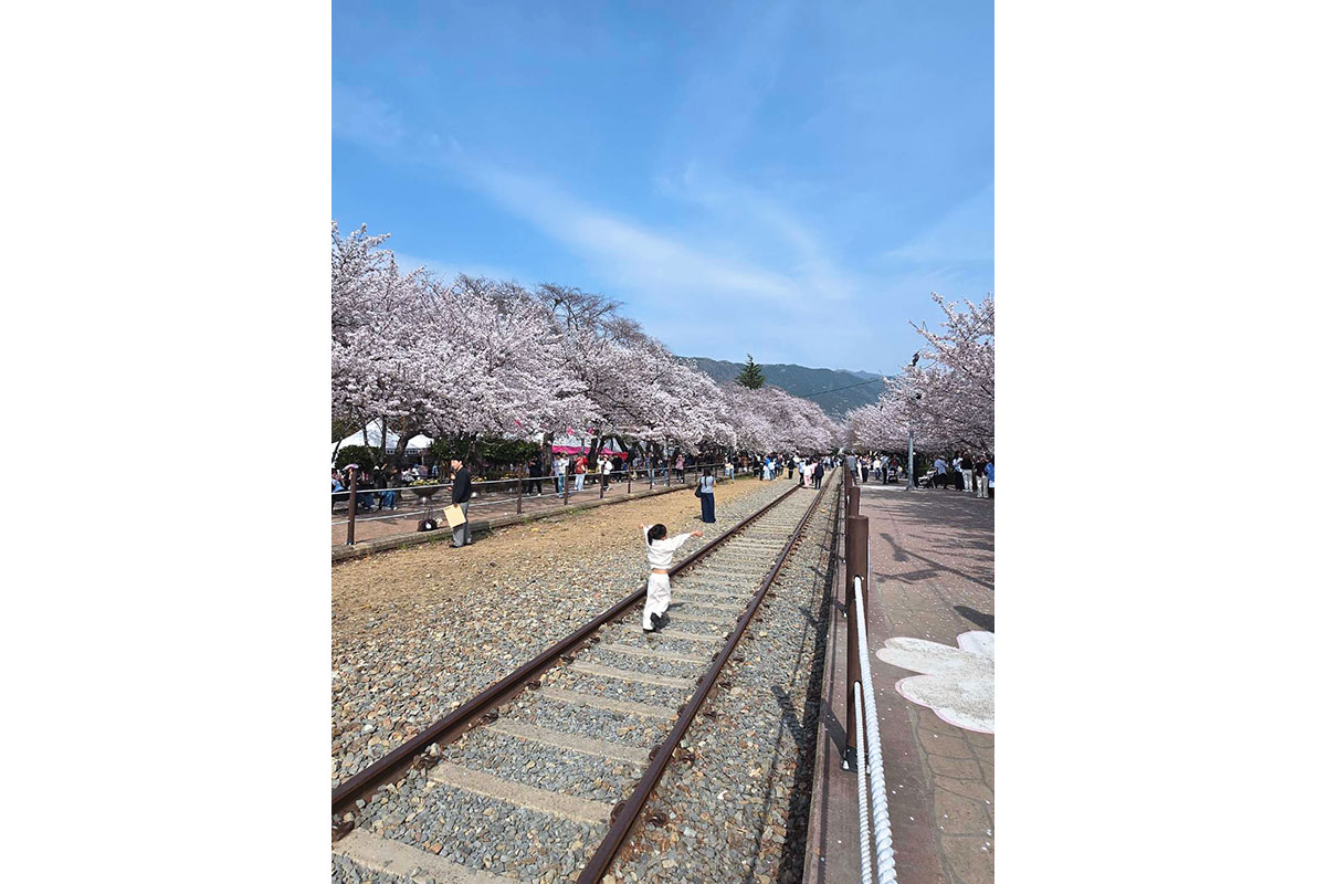 桜の名所慶和駅