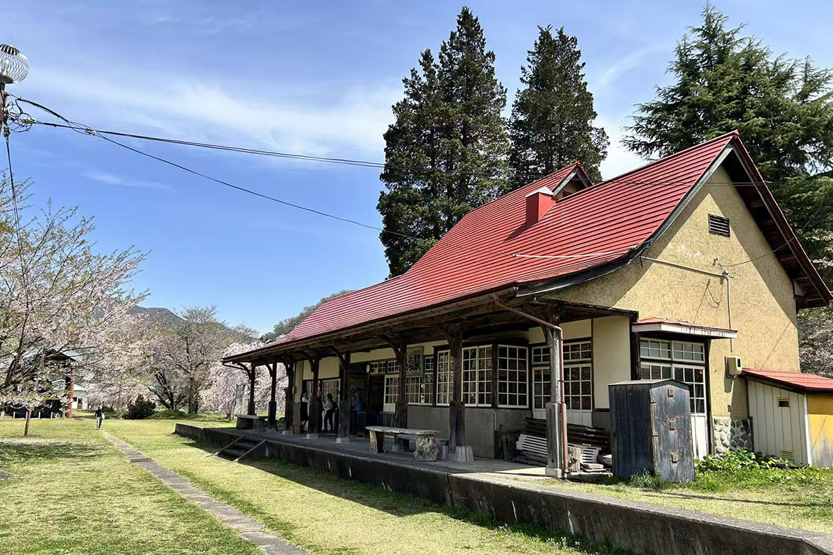 旧熱塩駅　桜もきれいでした