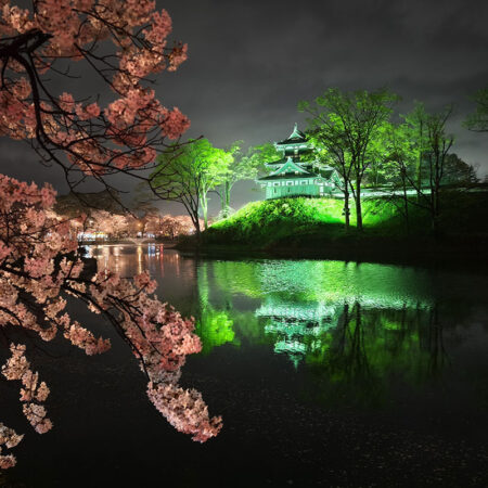 高田城三重櫓のライトアップ