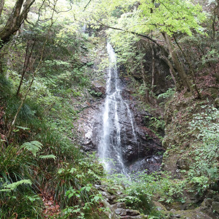 払沢の滝