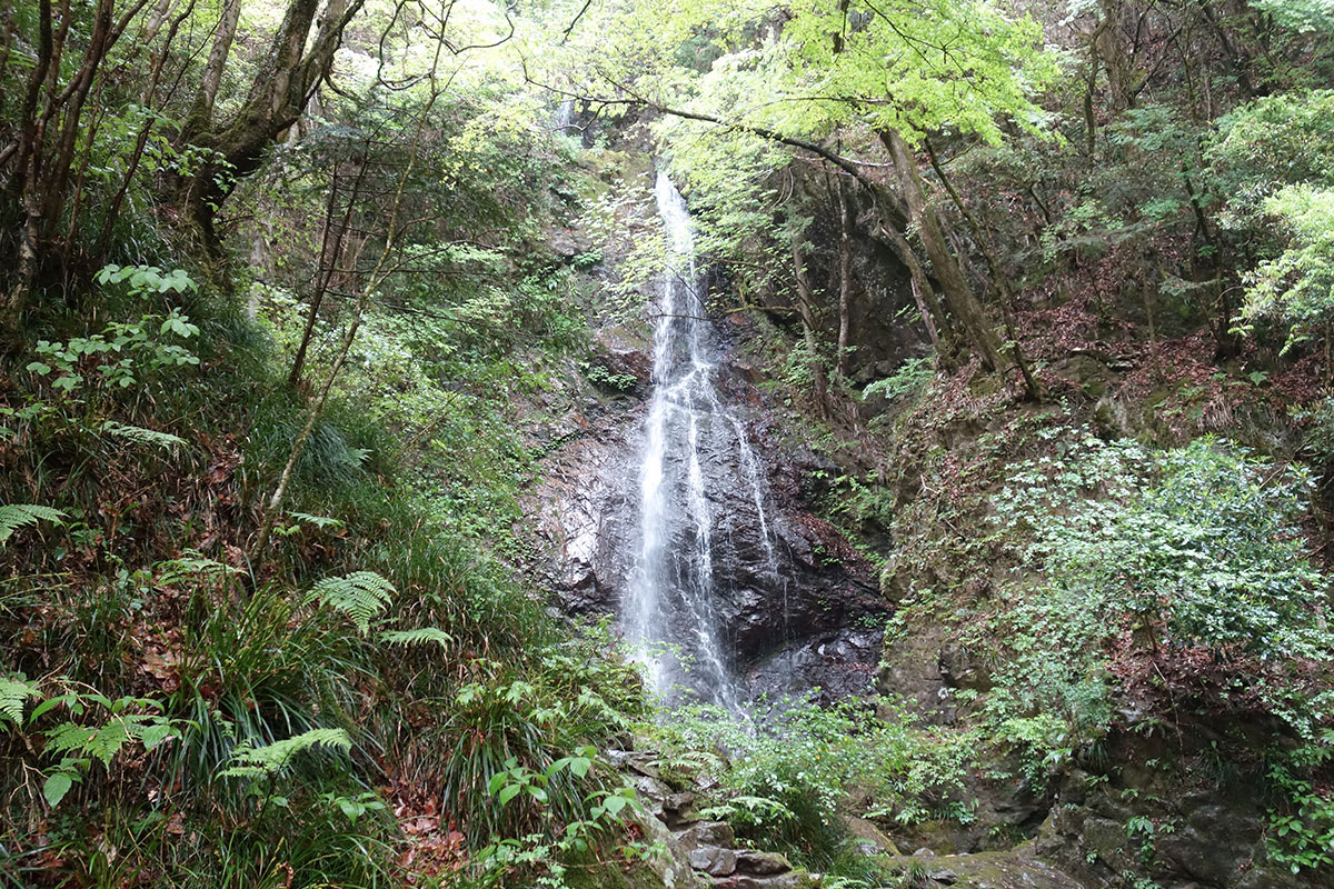 払沢の滝