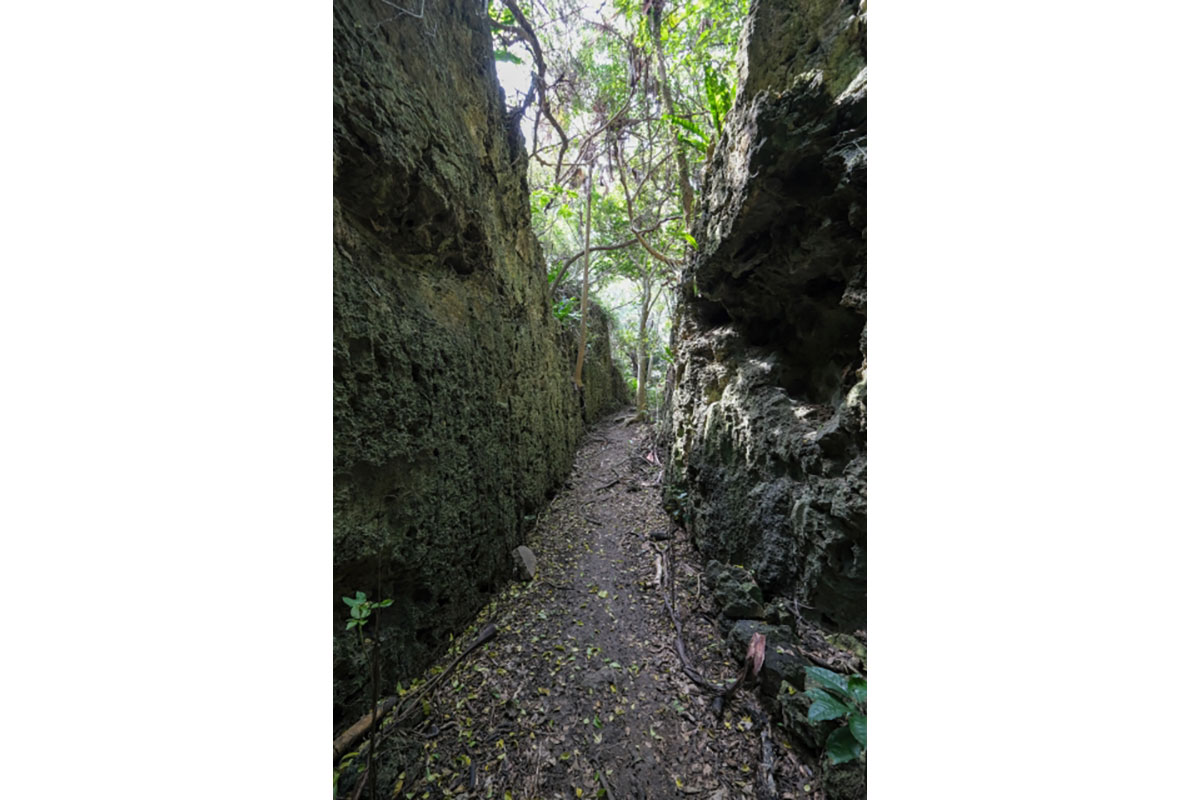 南大東島　バリバリ岩