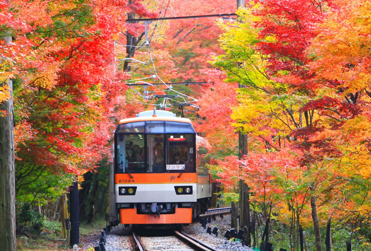 叡山電車 紅葉のトンネル