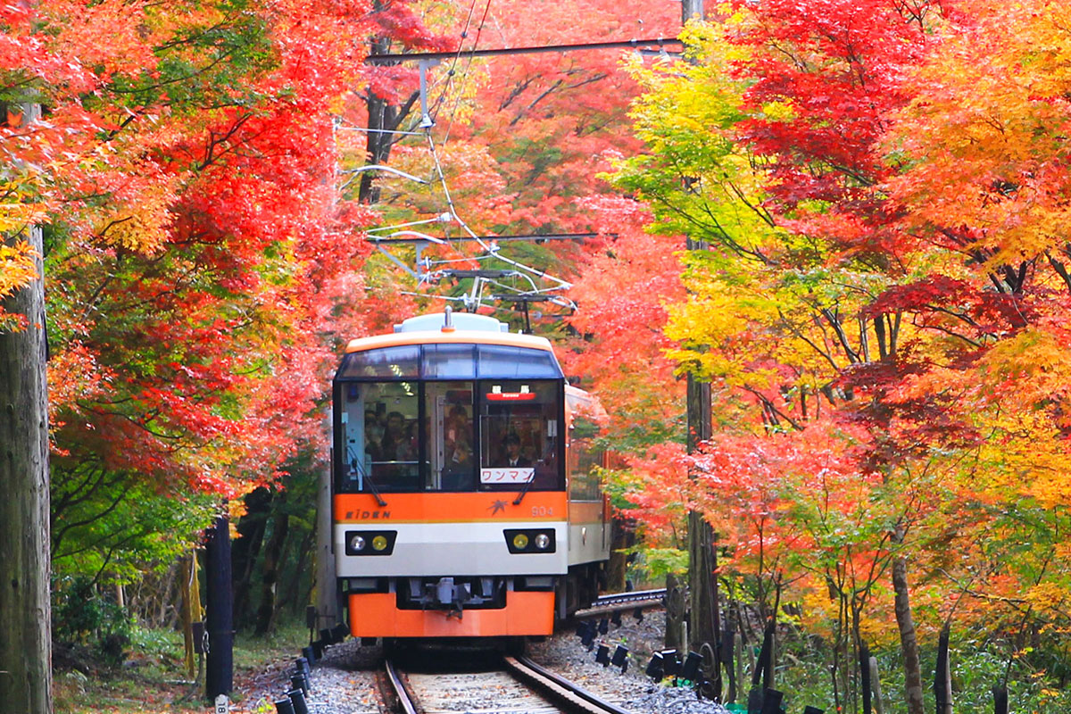 叡山電車　紅葉のトンネル