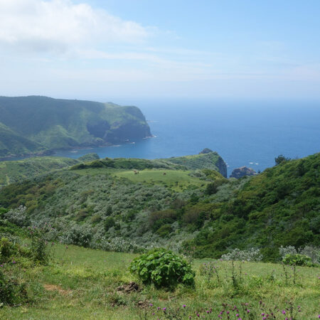 摩天崖①　西ノ島
