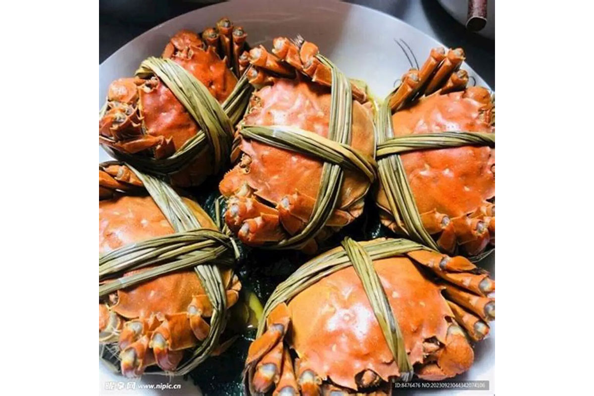 上海蟹