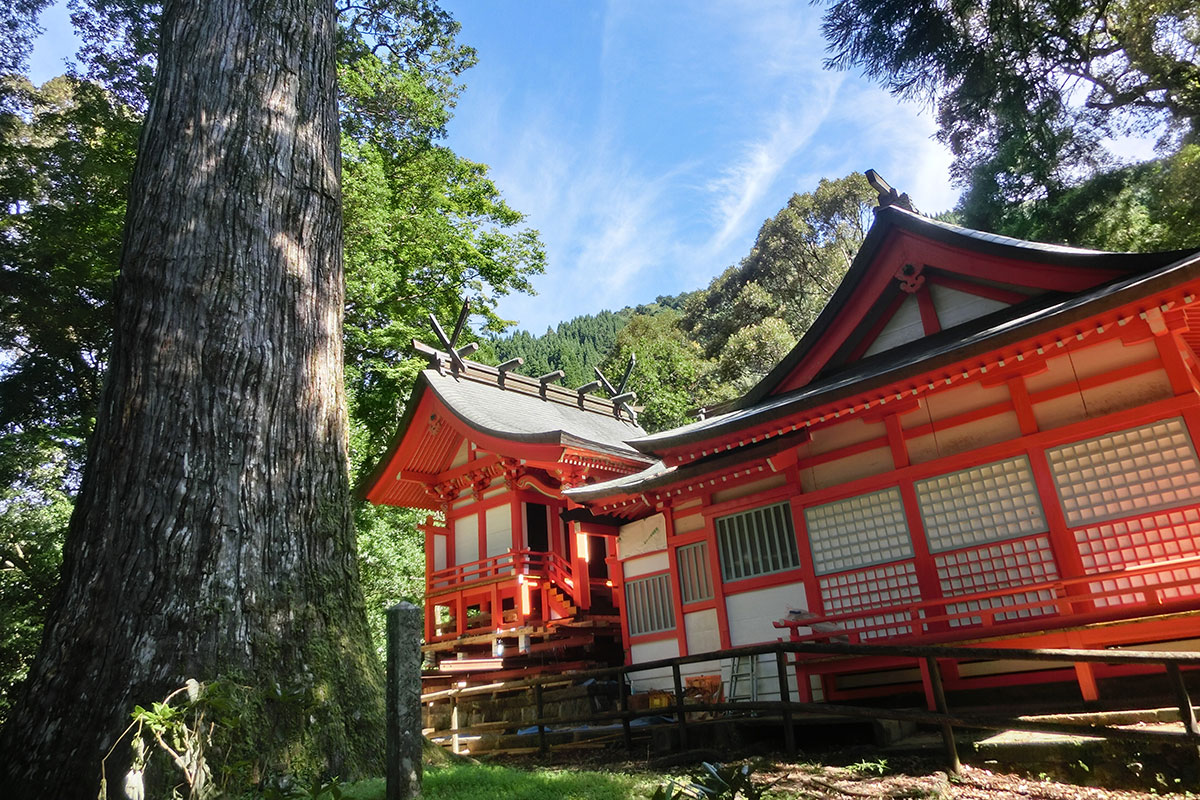 八村杉と十根川神社　写真提供：(一社)椎葉村観光協会